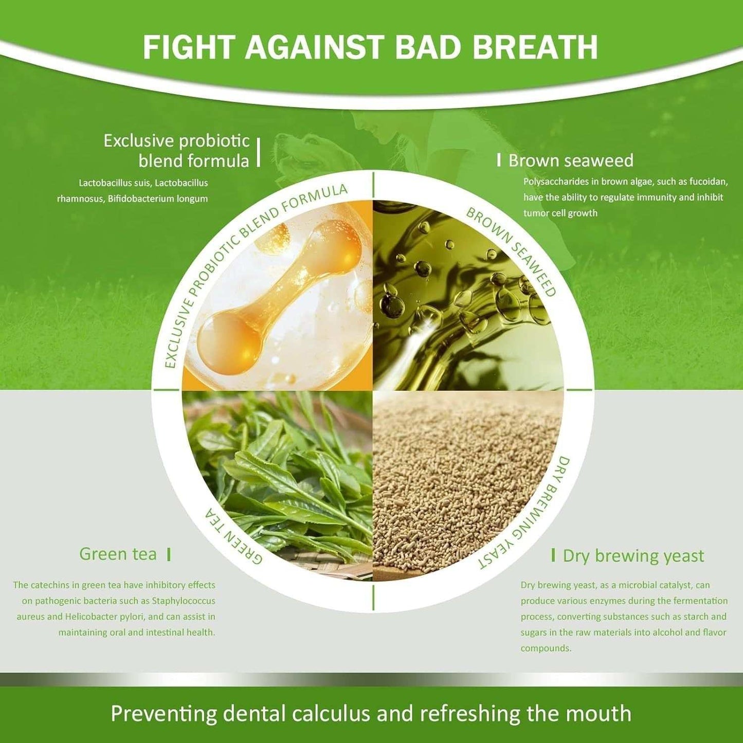 Pet Dental Powder - Freshens Breath, Protects Gums And Strengthens Teeth. An Essential For Daily Oral Care And General Dental Care.