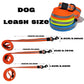 Reflective Leash Set